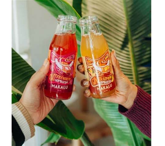 Makalu Ginger Lemon Kombucha – Natural Probiotic Drink in Nepal Makalu Ginger Lemon Kombucha – Natural Probiotic Drink in Nepal