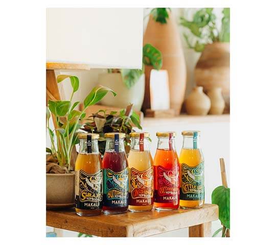 Shilajit Kombucha Pack of 12 – Energy & Immunity Boost