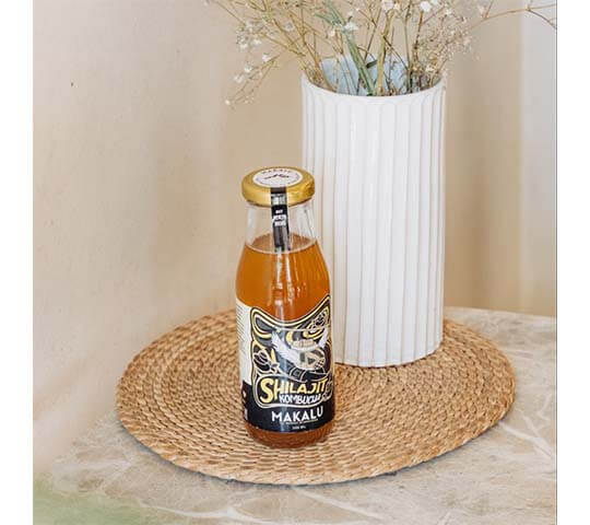 Shilajit Kombucha Pack of 12 – Energy & Immunity Boost