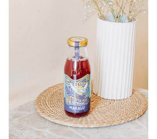 Butterfly Pea Kombucha Pack of 12 – Healthy & Refreshing Drinks Nepal Butterfly Pea Kombucha Pack of 12 – Healthy & Refreshing Drinks Nepal